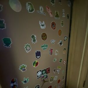 Meet your Posher, Shae